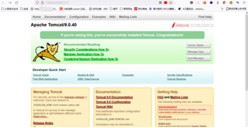 網絡與信息安全軟件開發中的默認頁面信息泄露風險及應對策略